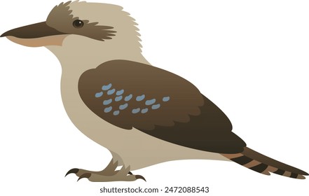 Ilustración vectorial de color de kookaburra. Pájaro salvaje aislado sobre fondo blanco. Vida silvestre de Australia y Nueva Guinea.