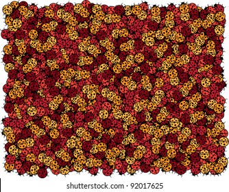 color vector illustration of ladybug nest