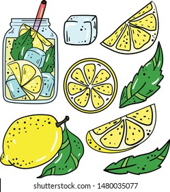 Color vector illustration with lemon, slices, part, lemonade, leaf, ice on white background. Postcard and logo idea. Hand drawn cartoon illustration. Good for printing. 