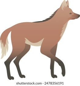 Color vector illustration of maned wolf or orange fox side view. Wild long-legged animal isolated on white background. Endangered mammal. Wildlife of South America.