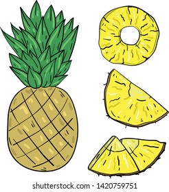 Color vector illustration with pineapple and slices on white background. Good for printing. Coloring book ideas. Postcard and logo elements. Isolated set with tropical fruits.