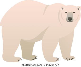 Color vector illustration of polar bear standing side view. Wild animal living in the ice isolated on white background. Wildlife of Arctic.