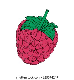 Color vector illustration. Raspberries icon. Vector illustration