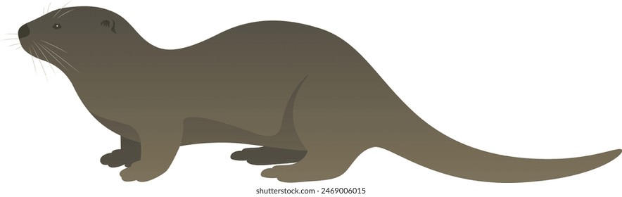 Color vector illustration of river otter side view. Wild animal semiaquatic mammal isolated on white background. Wildlife of North America.