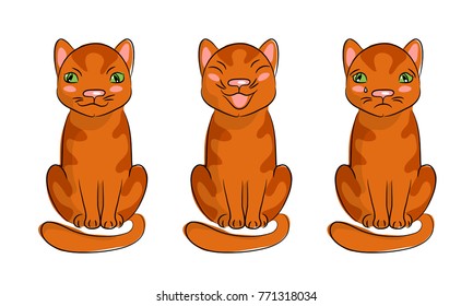 color vector illustration of sitting  red cat emotions