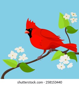 Color vector illustration of the small red bird on the blooming branch with flowers at the blue sky. Illustration for sales, magazines, shops, books for kids, fashion, schoolbooks, nature design.