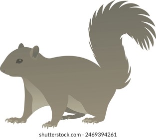 Color vector illustration of standing squirrel side view. Wild small rodent animal isolated on white background. Wildlife of the world.