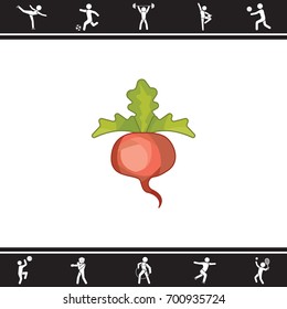 Color vector illustration. Sugar beet