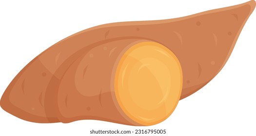 color vector illustration of sweet potatoes, greens and vegetables, spices and herbs, vitamin a