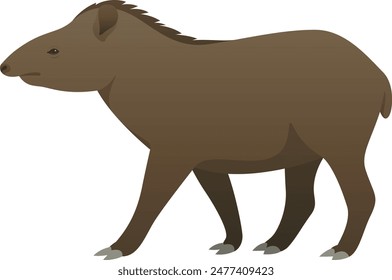 Color vector illustration of tapir side view. Wild animal isolated on white background. Large, herbivorous mammal. Jungle, tropical, exotic wildlife.