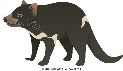 Color vector illustration of Tasmanian devil side view. Wild carnivorous marsupial animal isolated on white background. Wildlife of Australia, Tasmania.