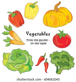 Color vector illustration. Vegetables icon