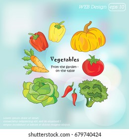 Color vector illustration. Vegetables icon