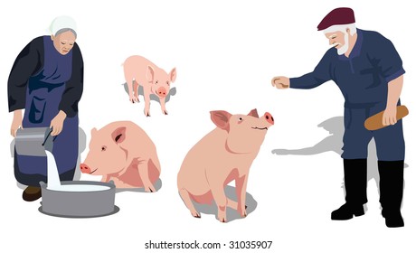 Color vector illustration of village peasants feeding pigs.