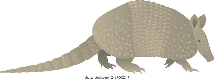 Color vector illustration of walking, running nine-banded or long-nosed armadillo side view. Wild animal isolated on white background. Wildlife of America.