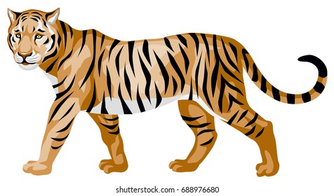 8,180 Walking tiger Stock Illustrations, Images & Vectors | Shutterstock