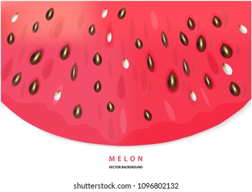 Color vector illustration of watermelon slice. Realistic red water melon illustration with place for your text.