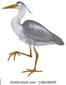 color vector illustration-egret bird standing on one leg. side view