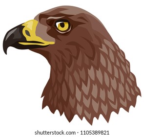 color vector illustration-Golden eagle head with yellow beak, side view