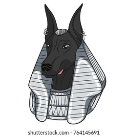 Color vector image Anubis. Isolated object on white background.