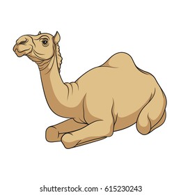 Color vector image of a camel. Isolated object on a white background.