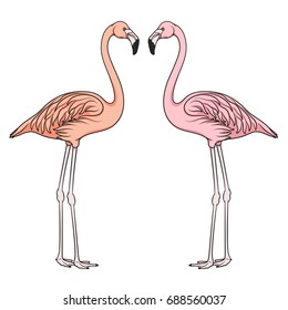 Color vector image of flamingo. Isolated object on white background.