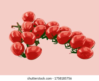 Color vector image of fresh cherry tomatoes on a branch