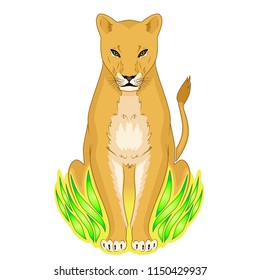 Color vector image of a lioness sitting in the grass.