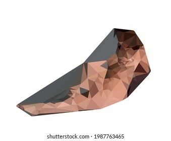 color vector image of a naked beautiful girl