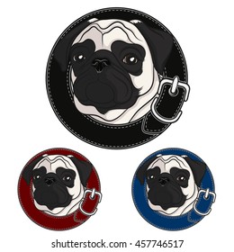 Color vector image of a pug wearing a collar. 