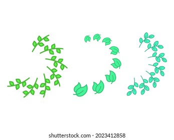 a color vector image showing 3 green branches with leaves of different shapes