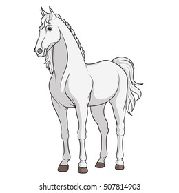 Color vector image of a white horse. 