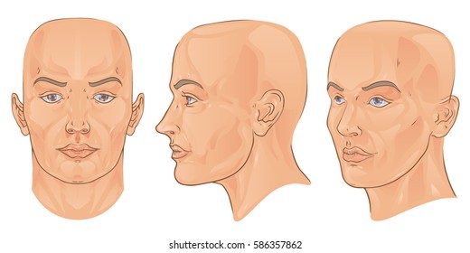 Color vector isolated set of image pattern for head hair and make-up animation. Anfas profile male face blank.