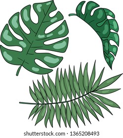 Color vector leaves. Tropical leaf on white background. Good for printing. Postcard and logo idea. Isolated elements. Botanical stickers ideas.