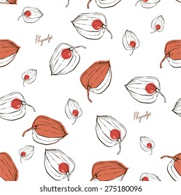 color vector pattern with fruits physalis