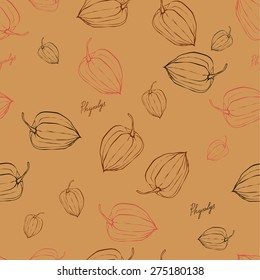 color vector pattern with fruits physalis