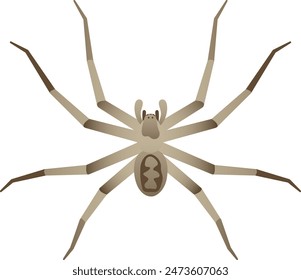 Ilustración realista del Vector del color de la araña del cazador gigante. Arácnido salvaje aislado sobre fondo blanco. Vida salvaje del mundo.