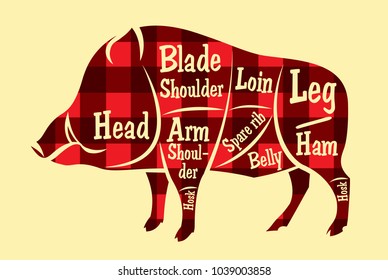 color vector scheme of carcass cutting of wild boar.