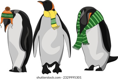 Color vector set of penguins on white isolated , bird of Antarctica and the south coast of Africa