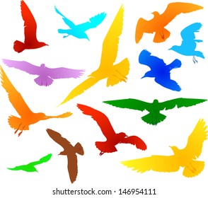 Color vector set of seagulls silhouettes