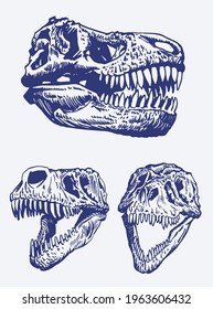 Color vector set of skulls of dinosaurs, pop art graphical illustration, blue skulls of tyrannosaurus