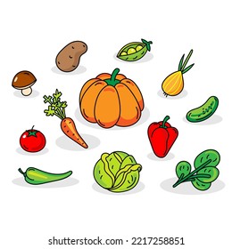 Color vector set of vegetables isolated on white background