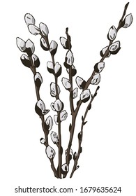 Color vector set of willow branches