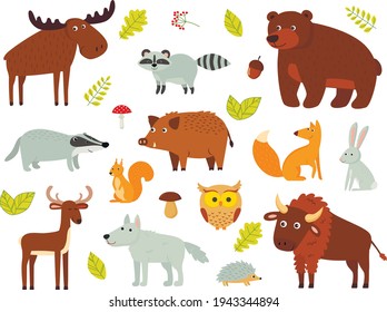 Color vector set of woodland animals isolated background. 