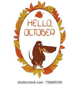 color vector simple decorative illustration of dachshund dog card with word hello october