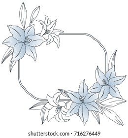 color vector simple  illustration of decorative lily flowers frame