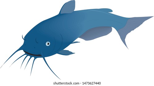
Color vector sketch of fish.
