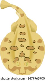Color vector sketch of fish.