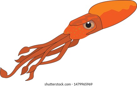 Color vector sketch of fish.