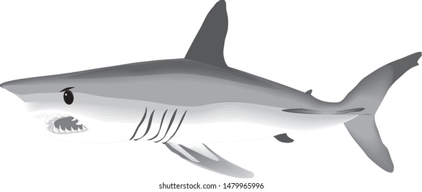 Color vector sketch of fish.